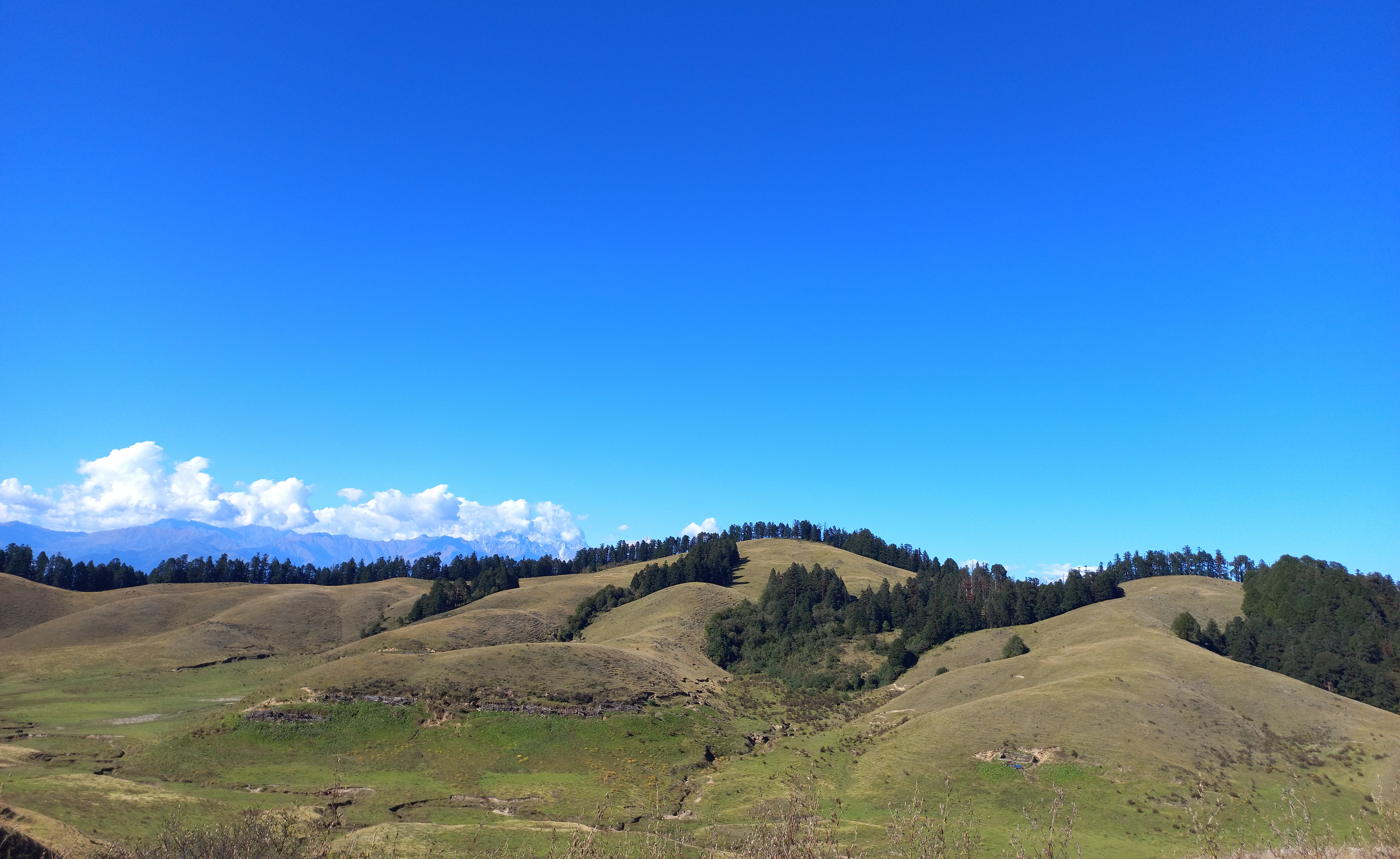 khaptad